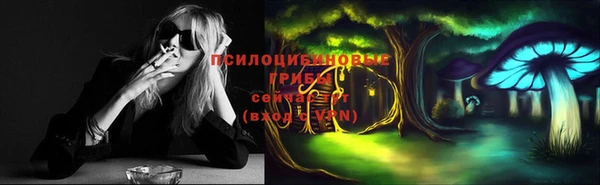 шишки Алексин