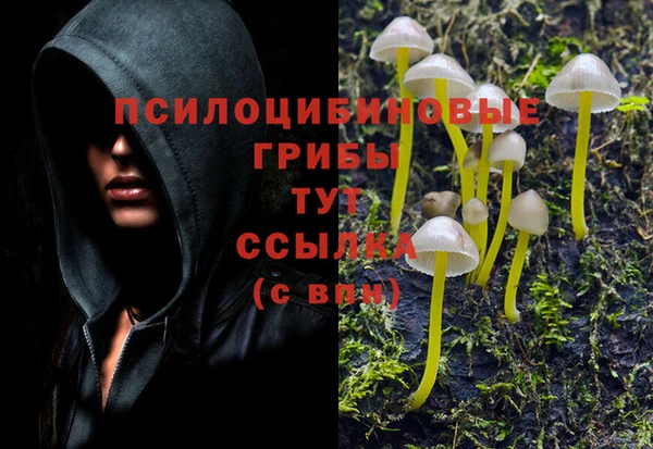амфетамин Алзамай