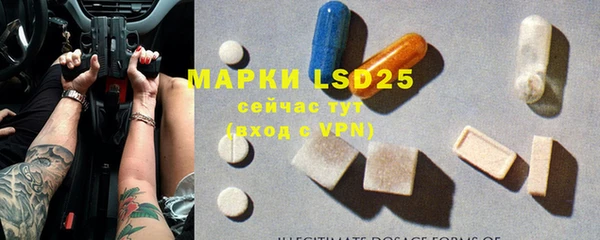 шишки Алексин