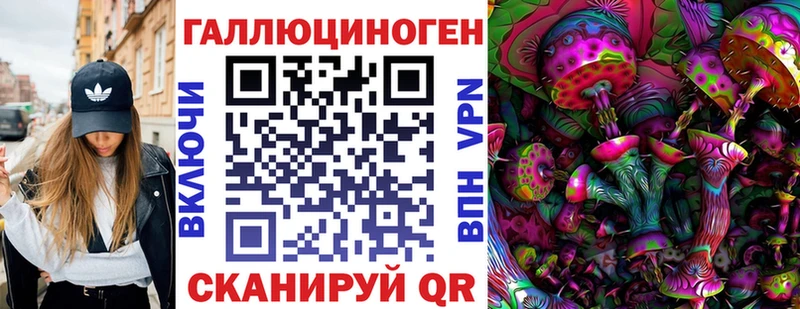 наркошоп  Иннополис  ОМГ ОМГ сайт  shop наркотические препараты  Псилоцибиновые грибы Cubensis 
